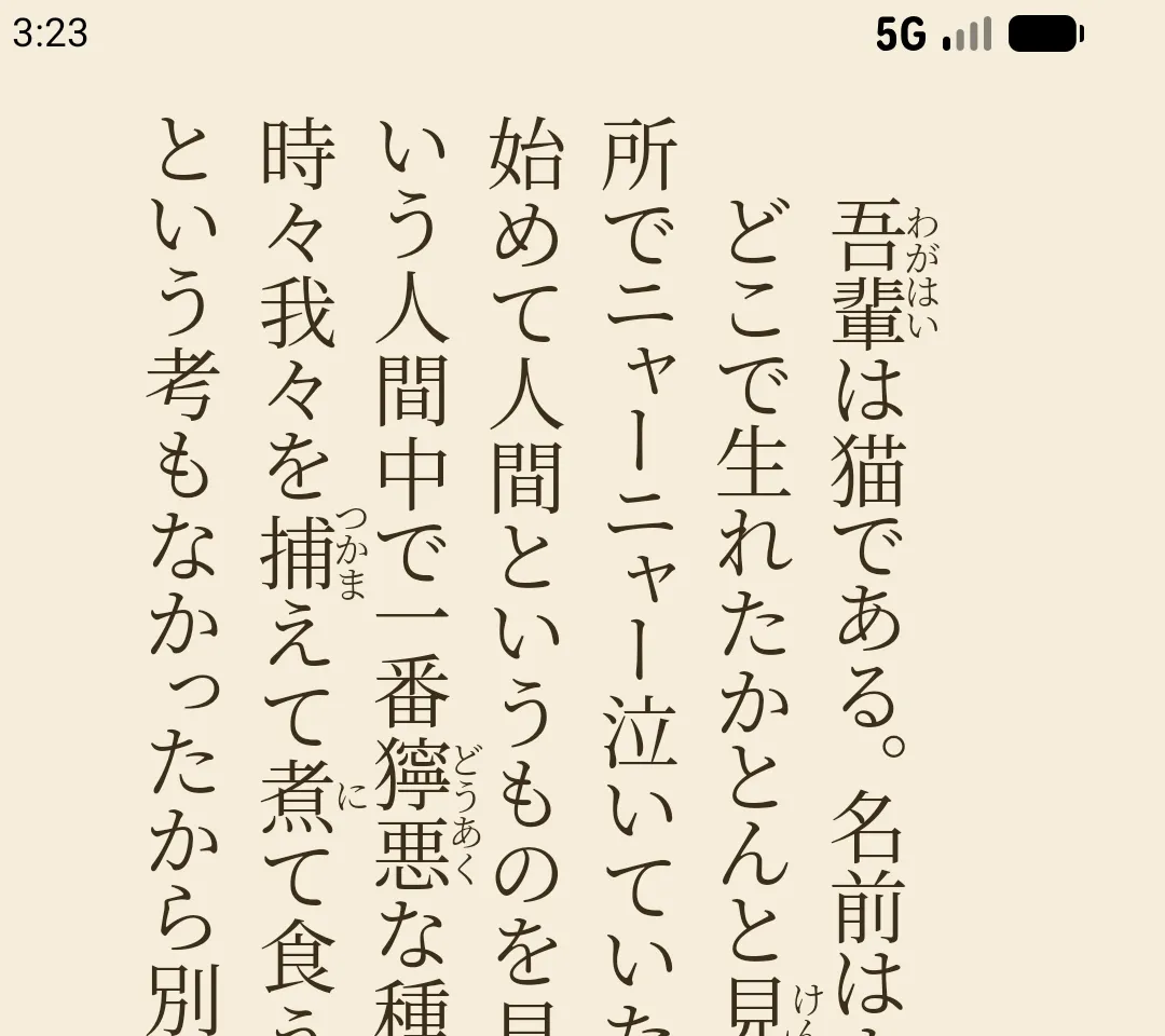 Reading screen